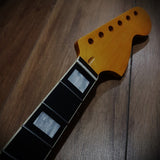 Manche  Stratocaster® vintage CBS Binding   ref strcbs6